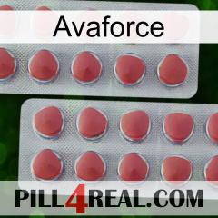 Avaforce 19